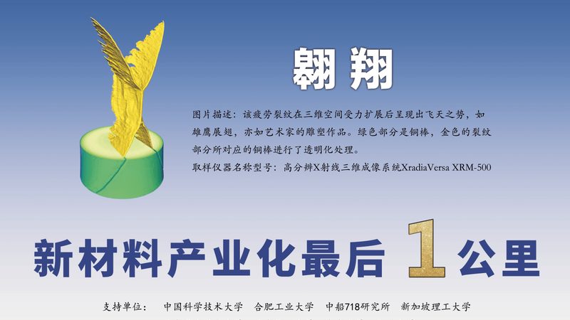 酱腌菜食品防腐剂用量标准解析