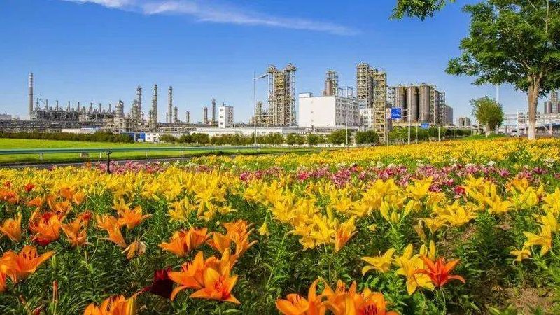 工业添加剂：规格参数背后的秘密**