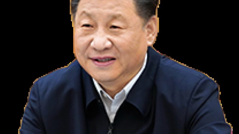区域代理不是签了合同就能躺赚
